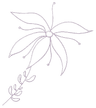 Flor