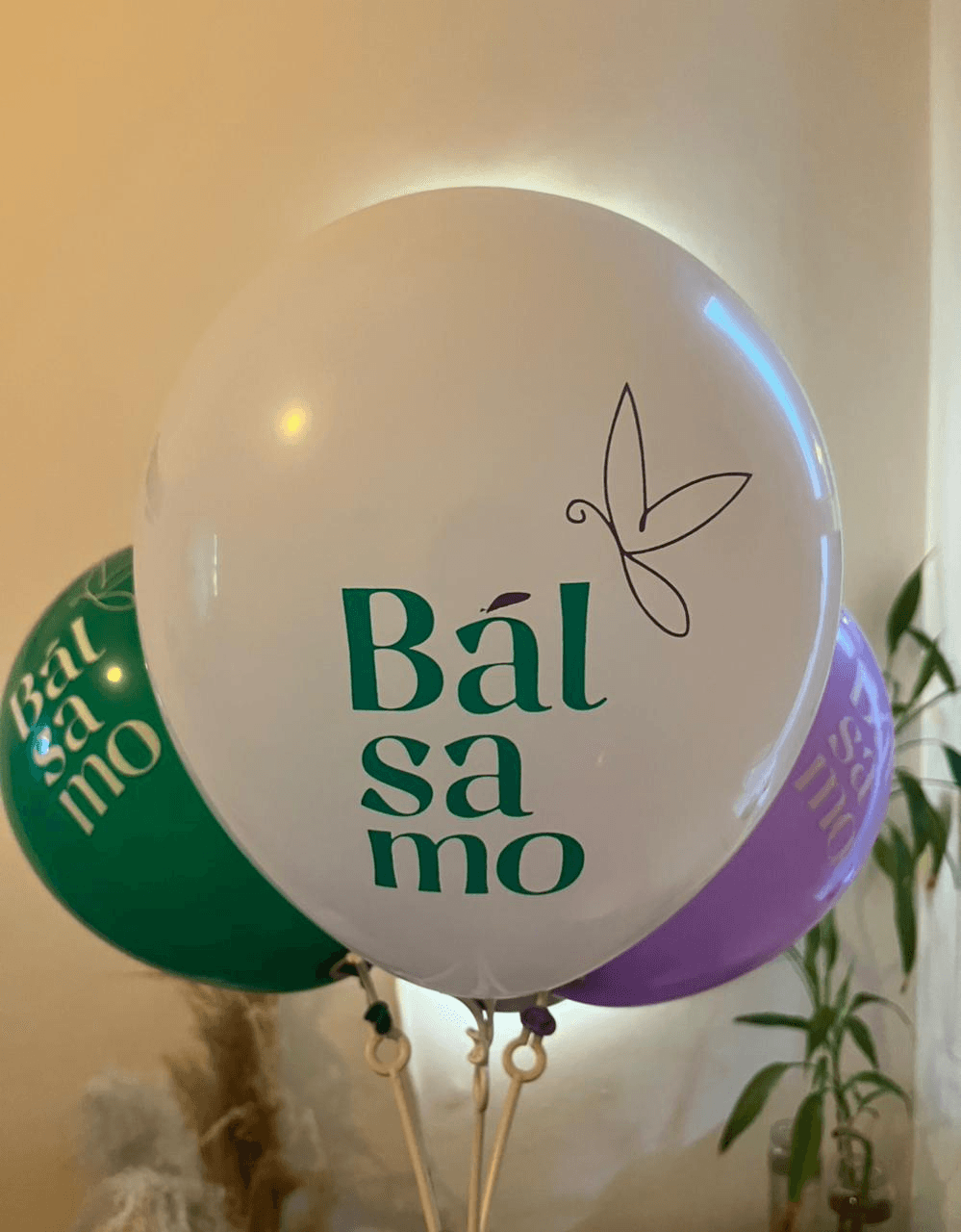 Ambiente Bálsamo Massoterapia 6